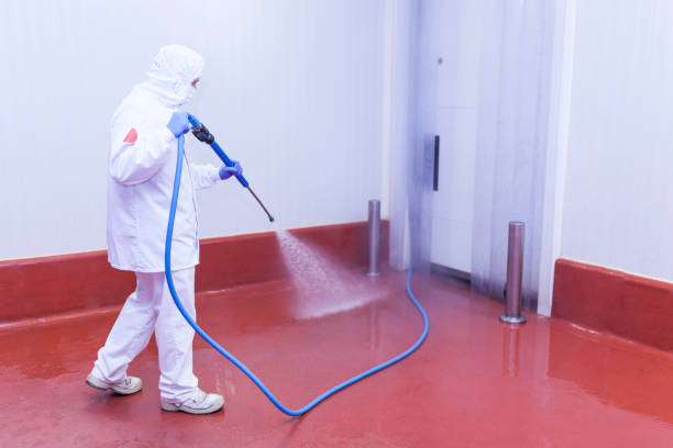 Professional Pressure Washing Services in Weston, WI
